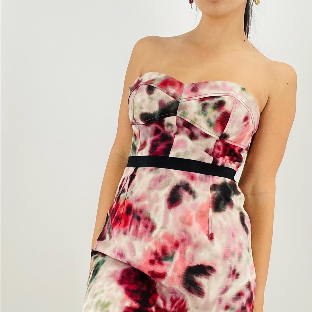 Anthro Moulinette Soeurs Hedgerow Corset Dress 4 S